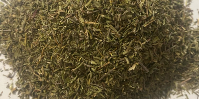 Oferujemy tymianek polski.  Podwójnie czyszczony (sito oraz kaskada). Produkt