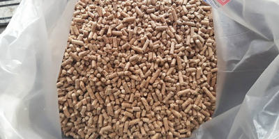 Polska firma skupuje pellet paliwowy z łuski słonecznika według