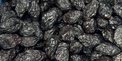 Suszone śliwki na sprzedaż – bezpośrednio od producenta z