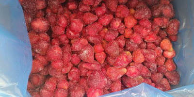 Witam, to nasza Spółdzielnia Rolnicza Fungo-vita z Serbii. Sprzedajemy