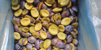 Witam, to nasza Spółdzielnia Rolnicza Fungo-vita z Serbii. Sprzedajemy