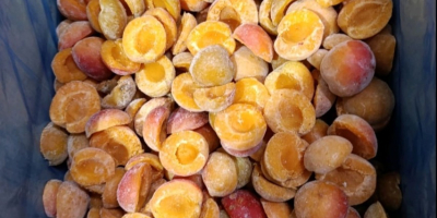 Witam, to nasza Spółdzielnia Rolnicza Fungo-vita z Serbii. Sprzedajemy