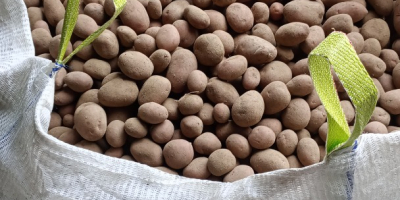 Witam. Posiadam do sprzedania ziemniaki jadalne Soraya oraz Balticrosa