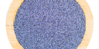 Sprzedam mak niebieski. Pakowany w worki papierowe po 25