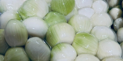 Jesteśmy firmą Biała Cebula PL, zaufanym dostawcą wysokiej jakości