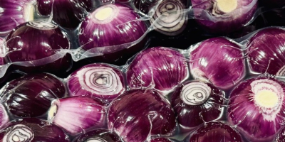 Jesteśmy firmą Biała Cebula PL, zaufanym dostawcą wysokiej jakości