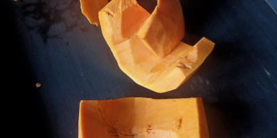 Sprzedam dynię obraną bambino i Otylia numer telefonu[telefon]