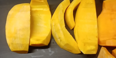 Sprzedam dynię obraną bambino i Otylia numer telefonu[telefon]