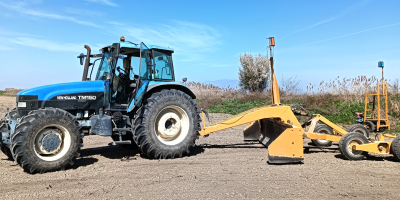 Dysponujemy dużymi ilościami świeżo zebranego ryżu z nizin Loudias