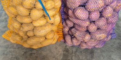 Witam. Sprzedam ziemniaki bardzo smaczne odmiany Balana (żołte) oraz