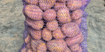 Witam. Sprzedam ziemniaki bardzo smaczne odmiany Balana (żołte) oraz