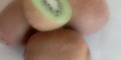 Organiczne zielone kiwi, bardzo słodkie, całkowicie wolne od pestycydów,