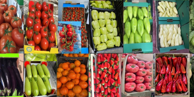 Świeże mandarynki premium dostępne w hurtowych ilościach. Dostawa bezpośrednia.