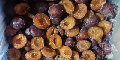 Mrożone połówki śliwek IQF do przetwórstwa przemysłowego i eksportu.