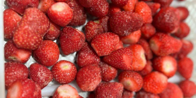 Mrożone truskawki - pochodzenie Rumunia