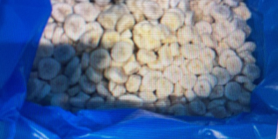 Banan , banany mrożone w plastrach organiczny o grobości