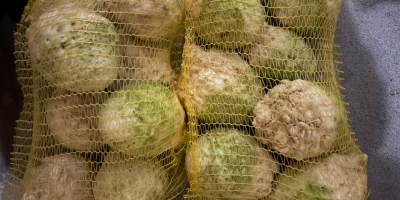 W celu uzyskania wszelkich informacji prosimy o kontakt mailowy: