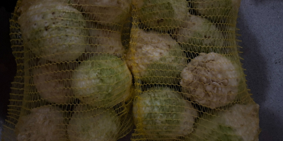 W celu uzyskania wszelkich informacji prosimy o kontakt mailowy: