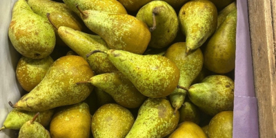 Sprzedam 6+ 3,5 7+ 4,5 ok 120 uniwersalek tygodniowo