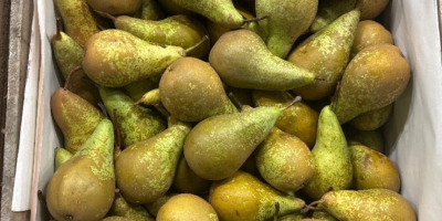 Sprzedam 6+ 3,5 7+ 4,5 ok 120 uniwersalek tygodniowo