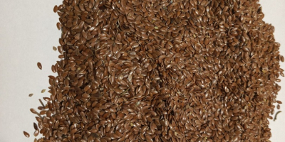 Oferujemy do zakupu siemię lniane brązowe Bio o czystości