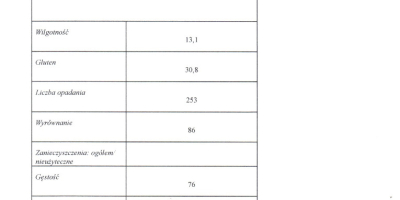 Sprzedam ok. 250 ton pszenicy konsumpcyjnej parametry na załączonych