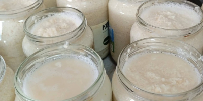 Chrzan domowy na sprzedaż W korzeniach W słoikach