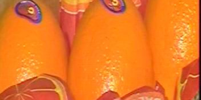 Szanowni Państwo, Jesteśmy egipską firmą handlową i outsourcingową. Nasz