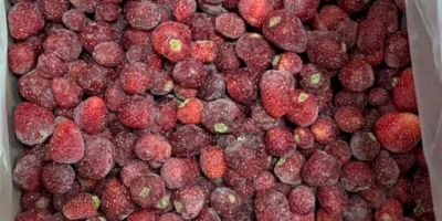 Mrożone truskawki z Kirgistanu (IQF) Nasze mrożone truskawki pochodzą