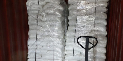 Nasiona kopru włoskiego o czystości 99,5% EXW Bułgaria na