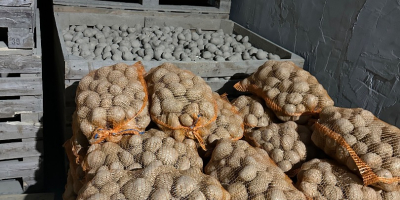 Jestem prywatnym przedsiębiorcą i prowadzę gospodarstwo rolne w Polsce