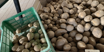 Jestem prywatnym przedsiębiorcą i prowadzę gospodarstwo rolne w Polsce