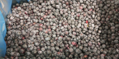 Sprzedaję 40 ton mrożonego, oczyszczonego pochodzenia zwierzęcego najwyższej jakości.