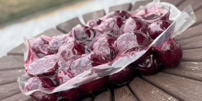 Burak cwiklowy ugotowany , gotowany. Termin przydatności do 60