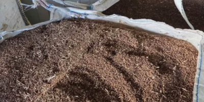 Sprzedam zboże, posiadam siano. W workach 25 kg.