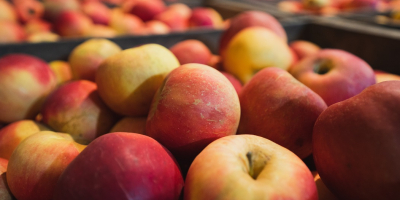 Sprzedam jabłka Idared. Pietrari, Dâmbovița. Dostępne około 5 ton.