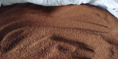 Sprzedam nasiona wiesiołka zbiór 2025 nasiona suche bez zanieczyszczeń