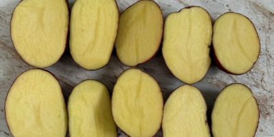 Ziemniaki żółte oraz czerwone Queen Anna Colombo Lili Essme