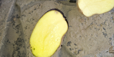 Potatoes fontane , fries and eat potatos good kwality