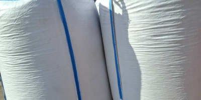 Sprzedam ilosci calosamochodowe fasoli jaś karłowy. Pakowanie wedle uznania,