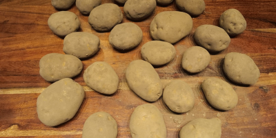 Sprzedam 500 ton ziemniaków odmiany Fontane w skrzyniach. W