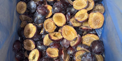 Wszystkie nasze produkty są wolne od GMO, produkowane zgodnie