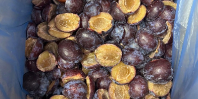 Wszystkie nasze produkty są wolne od GMO, produkowane zgodnie