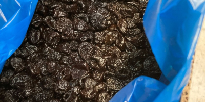 Sprzedam śliwkę suszoną Ashlock 90/100 Kraj pochodzenia: Chile Rok