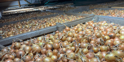 Jesteśmy austriacką firmą, która przez cały rok sprzedaje wysokiej