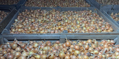 Jesteśmy austriacką firmą, która przez cały rok sprzedaje wysokiej