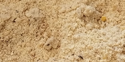 P.H.U.T SIEMBIDA MAREK Potok Wielki 130A, 23-313 Potok Wielki