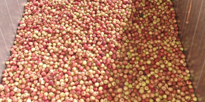 Kupię przemysł ekologiczny - czerwony / zielony