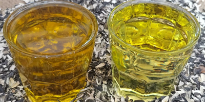 Sunflowerseed oil and sunflowerseed meal and cake from Ukraine