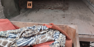 Witam mam na sprzedaż marchew w workach 10 zł